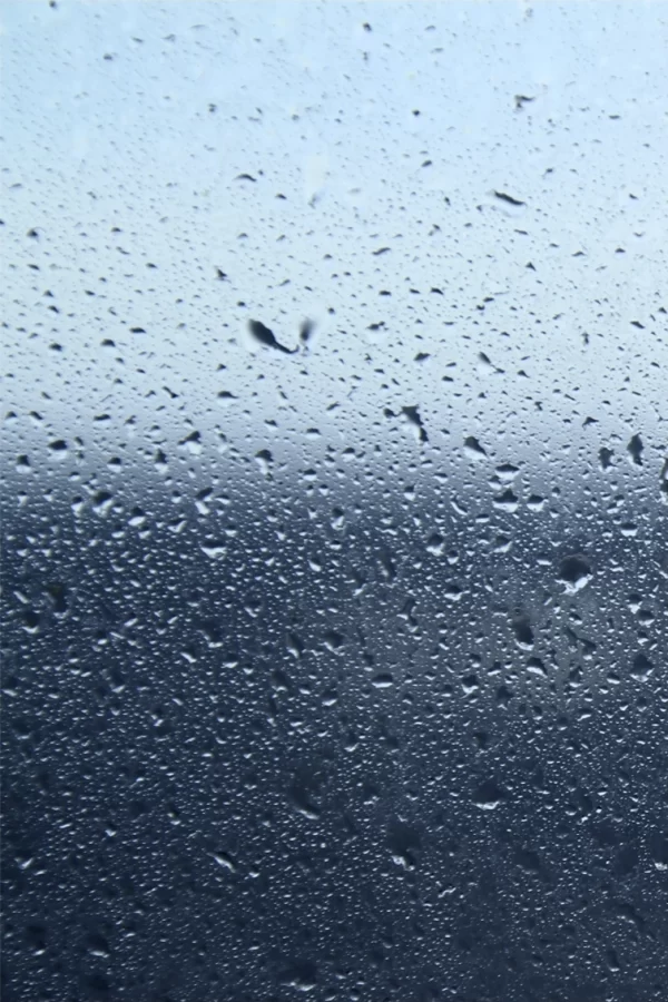 Sea spray on the window Vol. 2