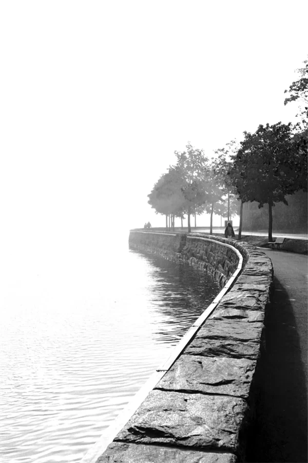 Stone Wall on the Shore Road